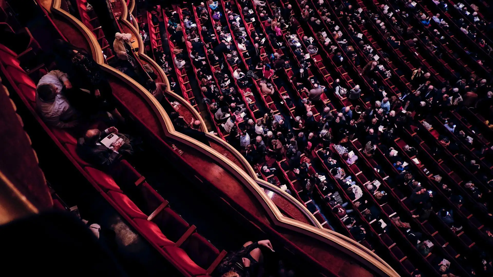 Aerial view of a packed theater audience seated in rows of red velvet seats before a performance